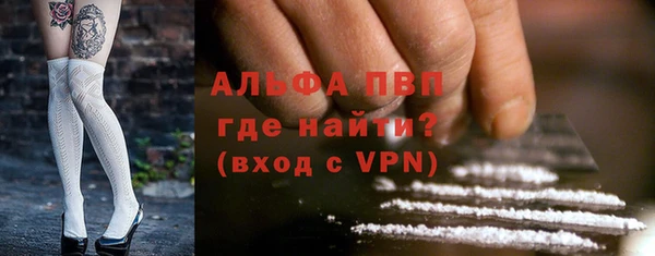 СК Абинск