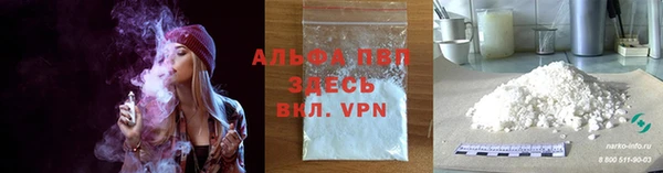 СК Абинск