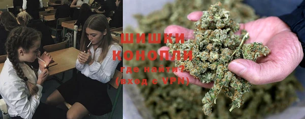 СК Абинск