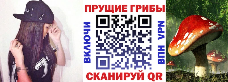 Псилоцибиновые грибы мицелий  где найти   Кировград 